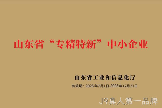 山东省专精特新中小企业.